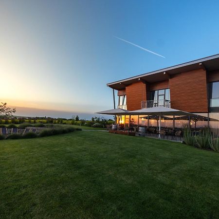 Weinzuhause Hotel-Restaurant-Vinothek Mommenheim Dış mekan fotoğraf