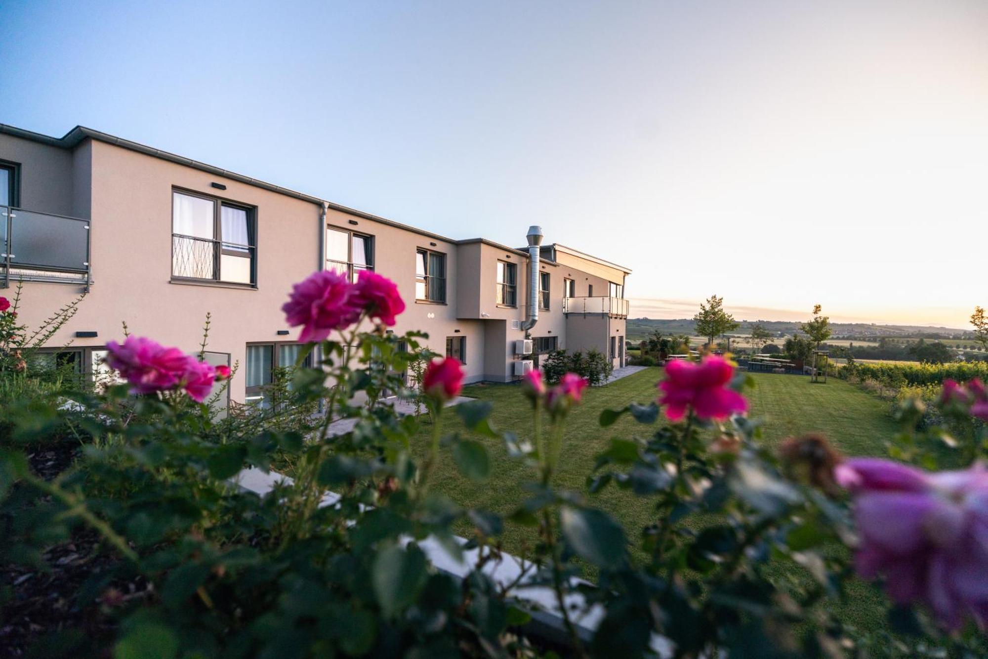 Weinzuhause Hotel-Restaurant-Vinothek Mommenheim Dış mekan fotoğraf