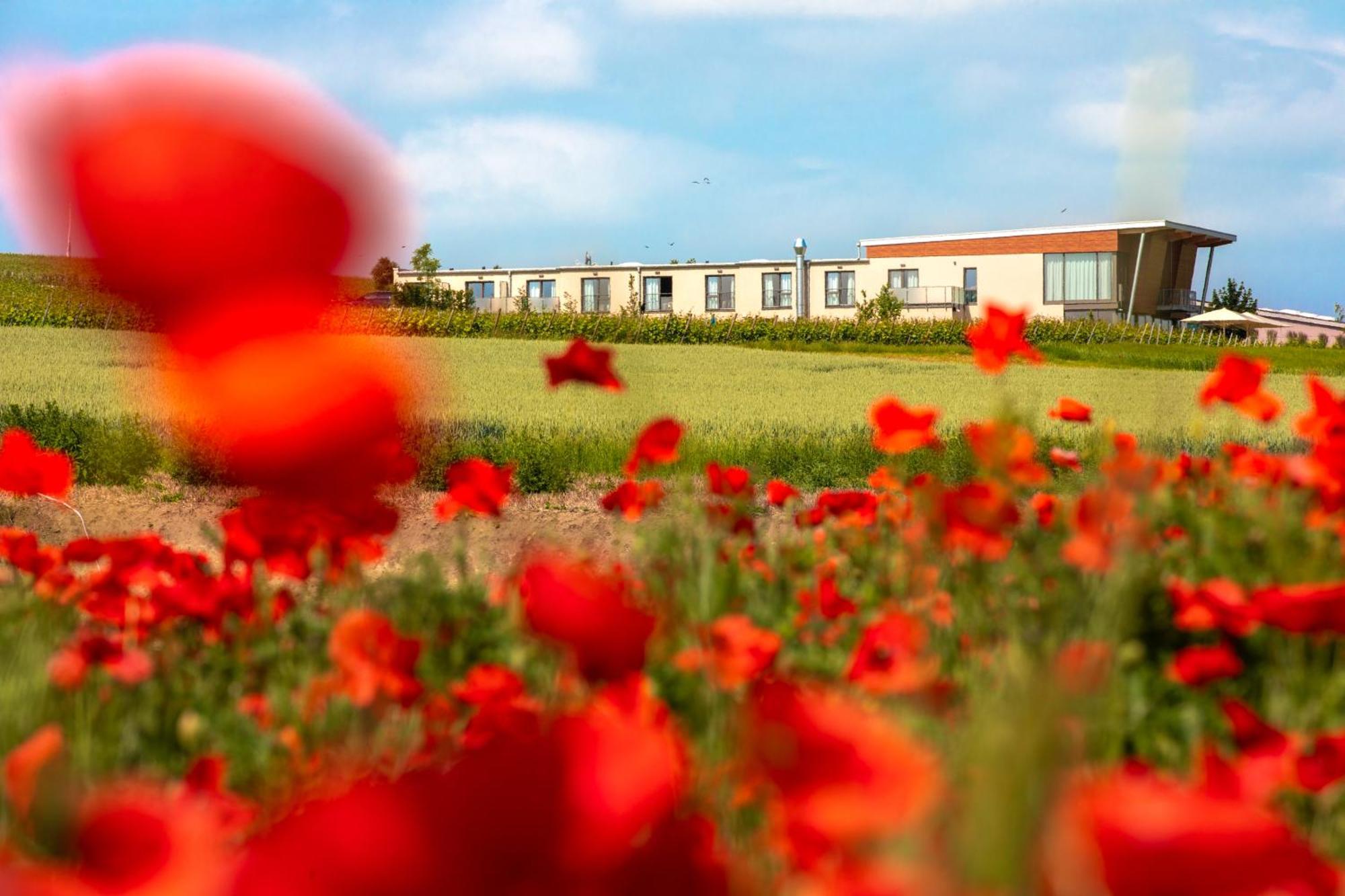 Weinzuhause Hotel-Restaurant-Vinothek Mommenheim Dış mekan fotoğraf